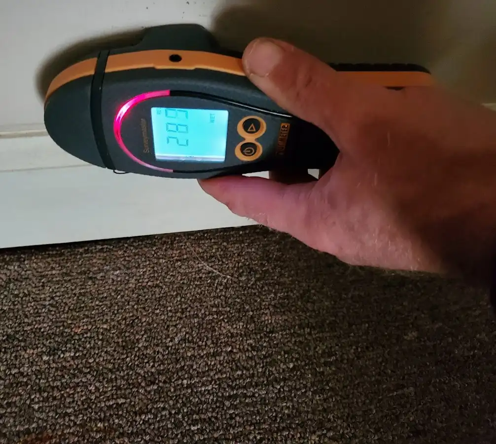 Moisture detection at baseboard during Sewage Cleanup & Sanitation in Aberdeen